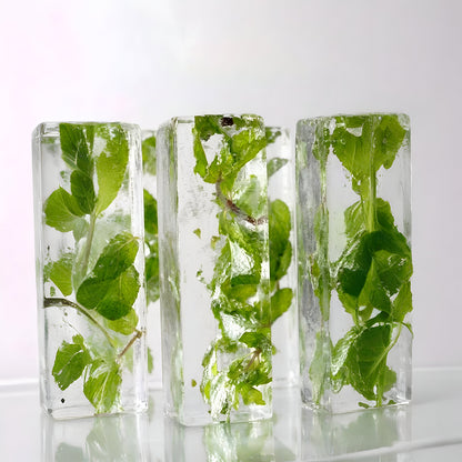 Perfect Serve Combo - 50 Infused Pillar Ice (25 Mint Infused + 25 Rose Petal Infused) + 5 True Cube  + 5 Clear Ice Shot Glasses