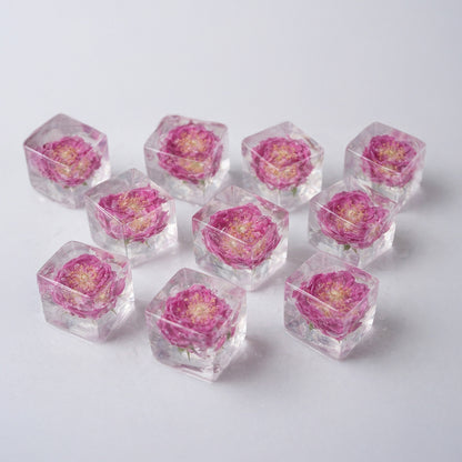 The Love Story Starter Combo: 15 Mixed Rose Infused Cubes and 5 True Cubes Pack