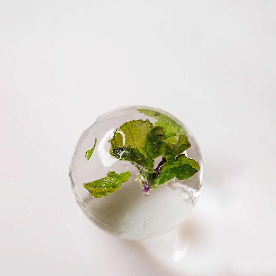 The Infusion Experience- Curated Cocktail Tasting Kit