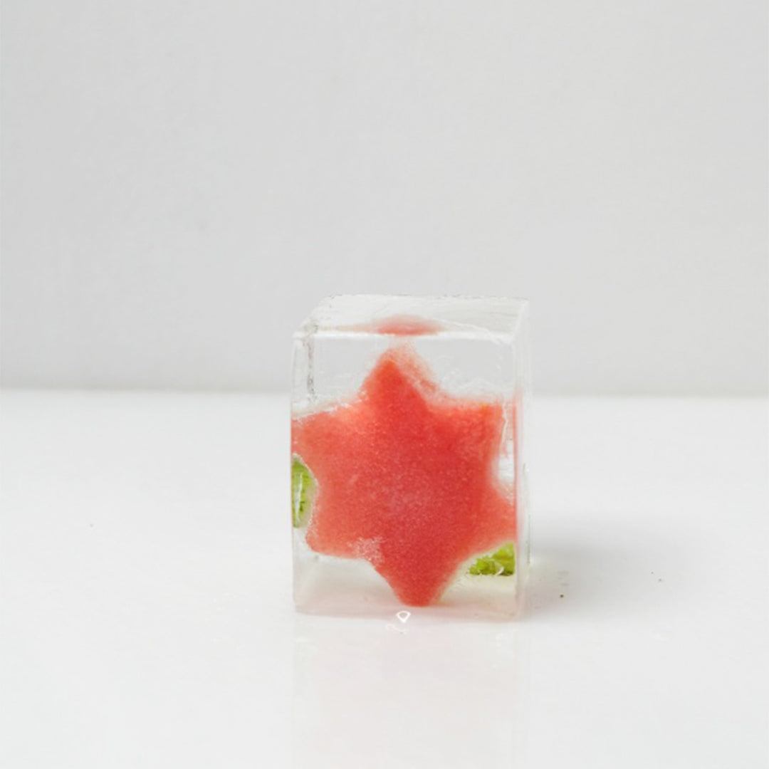 The Infusion Experience- Curated Cocktail Tasting Kit